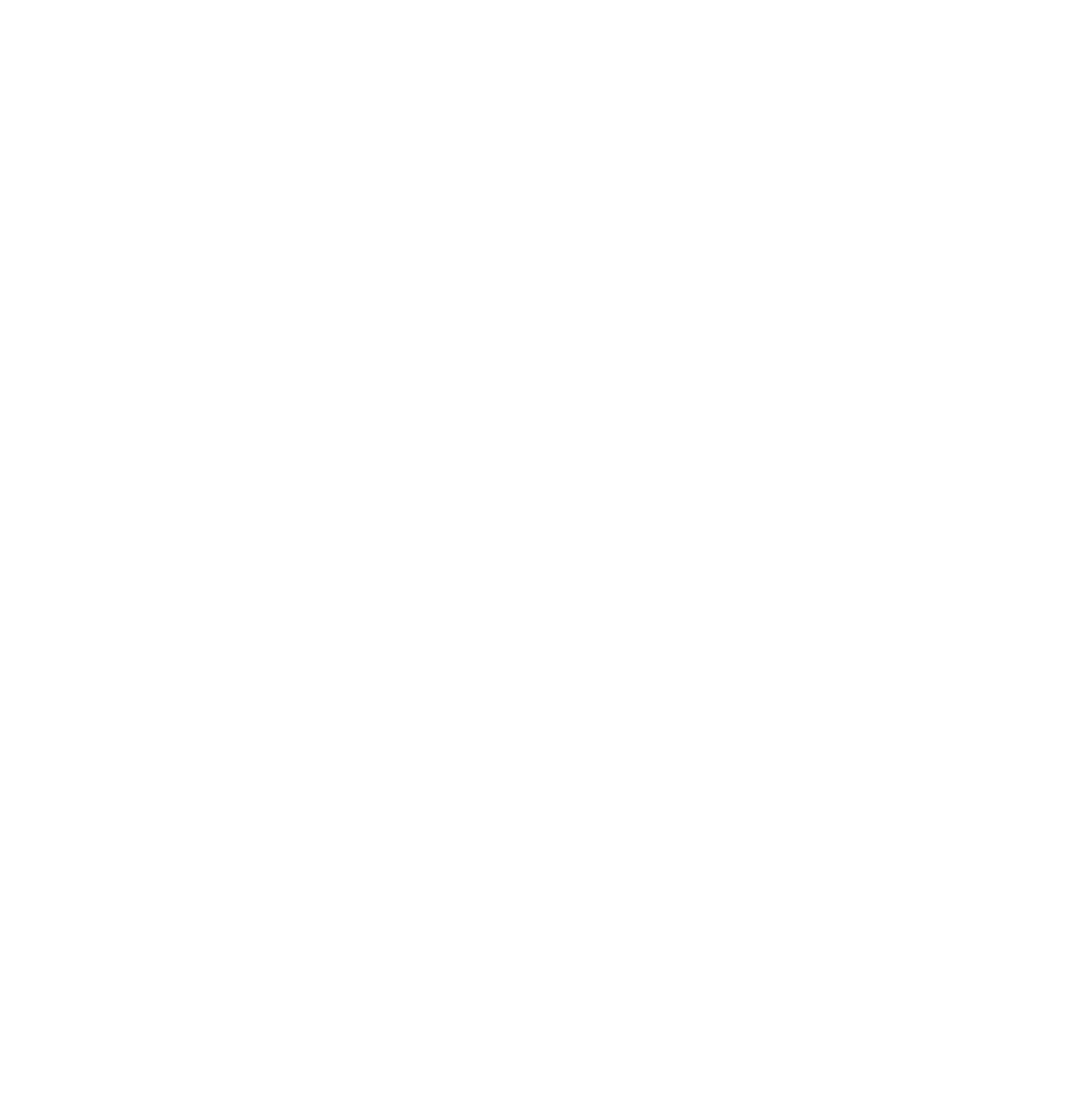 Planet Youth Nipissing Logo white