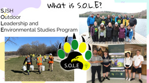 Poster Sole