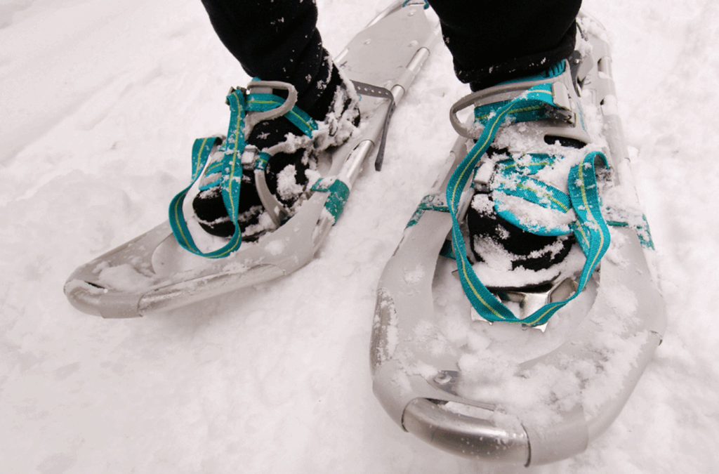 Photo of feet in snow shoes